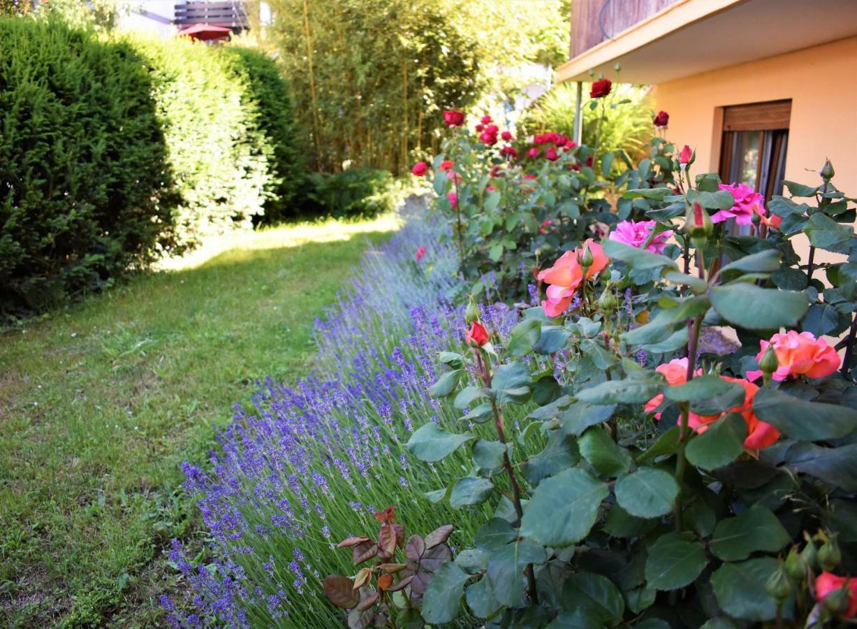 Fvh Family Vacation Heidelberg Apartment Exterior foto